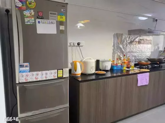 House Rent • Bukit Timah • 151 Bedok Reservoir Road • S$3800 • 3-Room (2 BR) • 930ft² / 86m² Photo