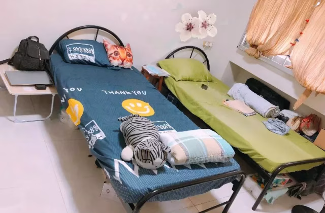 Room Rent • Clementi • 135 Jalan Bukit Merah • S$500 • 5-Room (4 BR) • Room Sharing