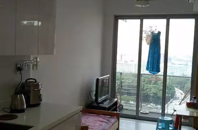 House Rent • Museum •  Riverbay • S$2500 • Apartment • 400ft² / 37m²