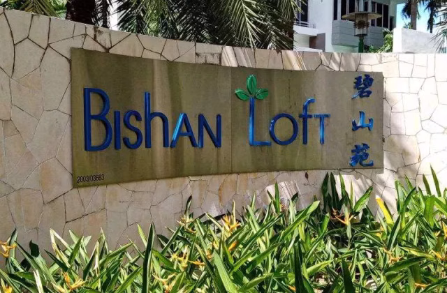 Room Rent • Bishan •  Bishan Loft • S$1350 • Condo • Common Room