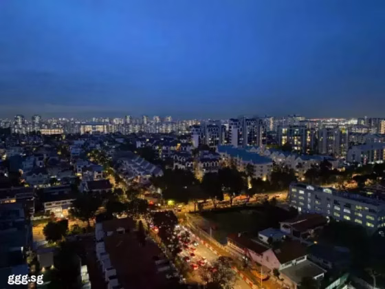 Room Rent • Bukit Timah •  The Bayshore • S$2000 • Apartment • Master Room Photo