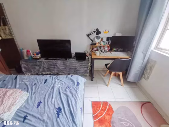 Room Rent • Kallang • PENHAS ROAD (208191) • S$1500 • 4-Room (3 BR) • Common Room Photo