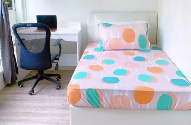 Room Rent • Newton •  Summer Green • S$600 • Apartment • Common Room