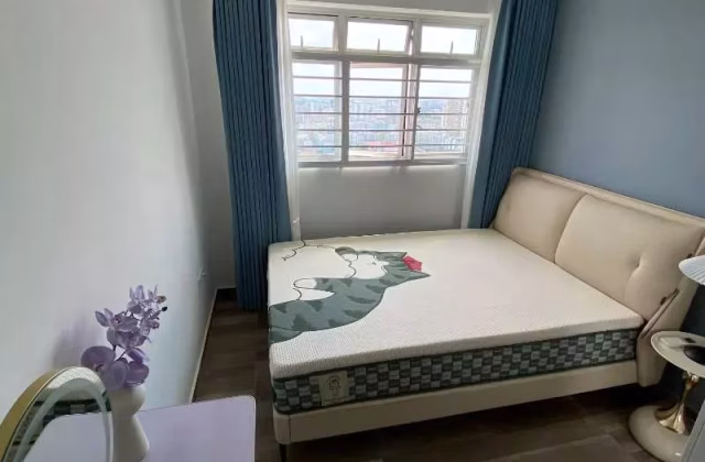 Room Rent • Newton • 78 Lorong Limau • S$1400 • 4-Room (3 BR) • Common Room
