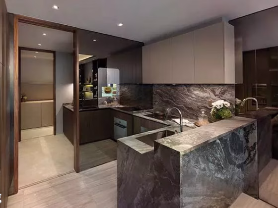House Sale • Novena •  Leedon Green • S$1600000 • Condo • 538ft² / 49m² Photo