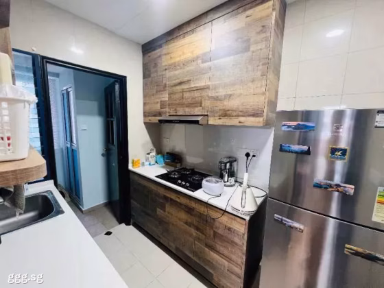 House Rent • Novena •  Nineteen Shelford • S$3300 • 2-Room (1 BR) • 646ft² / 60m² Photo