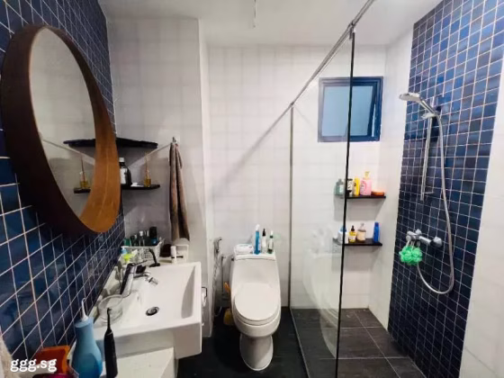 House Rent • Novena •  Nineteen Shelford • S$3300 • 2-Room (1 BR) • 646ft² / 60m² Photo