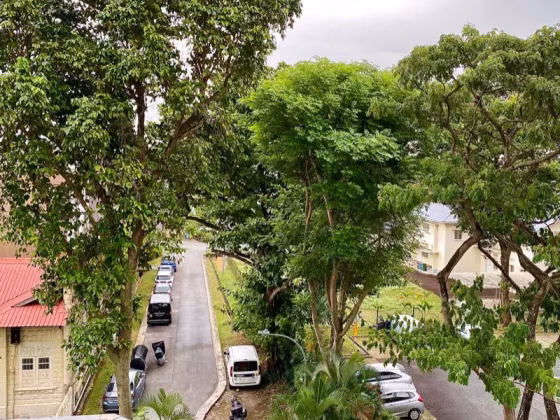 Room Rent • Bukit Timah •  Eastern Lagoon Ii • S$1250 • Condo • Common Room Photo