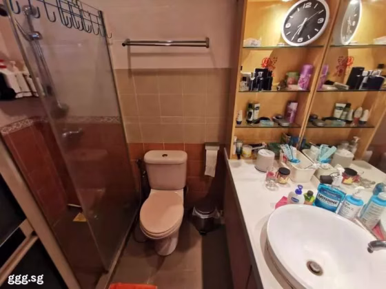 Room Rent • Bishan • 262C Compassvale Street • S$950 • 3-Room (2 BR) • Common Room Photo
