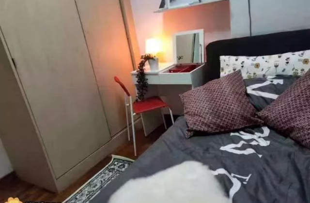 Room Rent • Newton •  Papillon • S$1300 • Apartment • Common Room