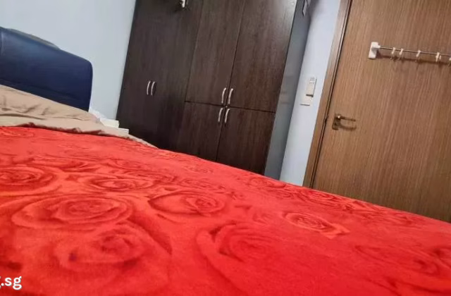 Room Rent • Bukit Batok • 438B Bukit Batok West Avenue 8 • S$1300 • 4-Room (3 BR) • Common Room