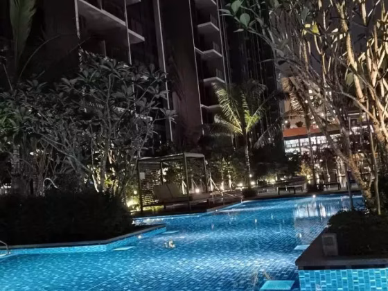 Room Rent • Western Water Catchment •  The Tapestry • S$1500 • Apartment • Common Room Photo