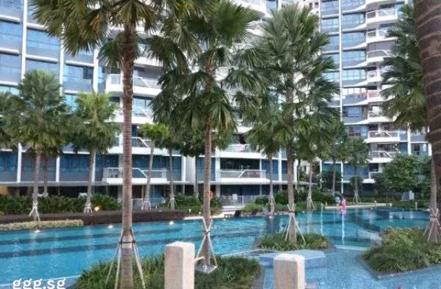 Room Rent • Ang Mo Kio •  Belysa • S$1000 • Condo • Common Room