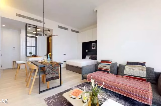 House Rent • Museum •  Kallang Riverside • S$2900 • Apartment • 517ft² / 48m²