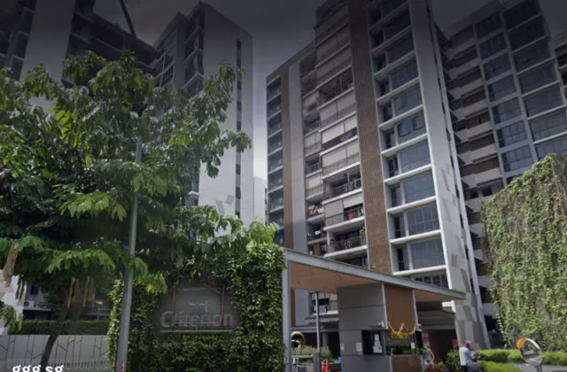 Room Rent • Rochor •  The Criterion • S$1000 • Exec Condo • Maid Room