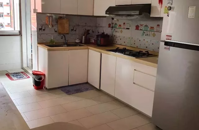 Room Rent • Geylang • 441 Choa Chu Kang Avenue 4 • S$800 • 4-Room (3 BR) • Common Room