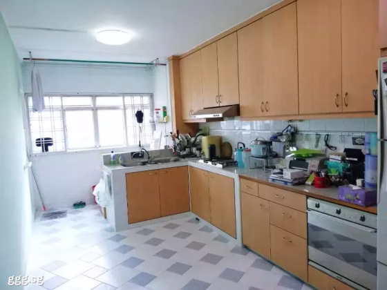 House Rent • Bukit Panjang • 113 Clementi Street 13 • S$4200 • 4-Room (3 BR) • 1119ft² / 103m² Photo