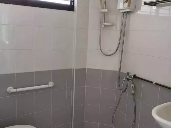 House Rent • Bukit Panjang • 113 Clementi Street 13 • S$4200 • 4-Room (3 BR) • 1119ft² / 103m² Photo