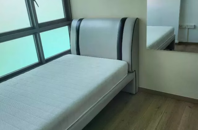 Room Rent • Rochor •  Nine Residences • S$900 • Apartment • Common Room