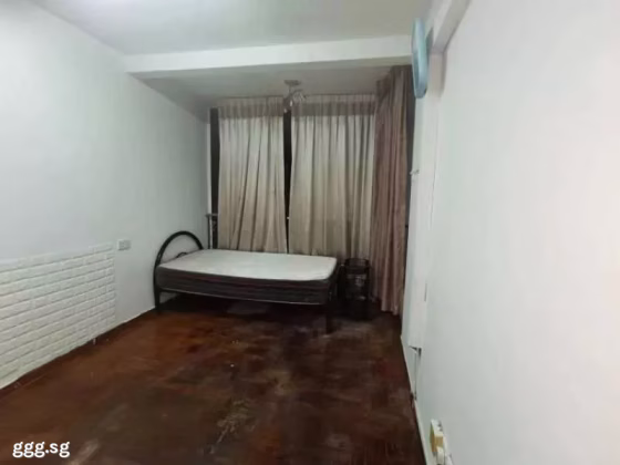 Room Rent • Bukit Timah •  South Union Park • S$1100 • Bungalow • Common Room Photo