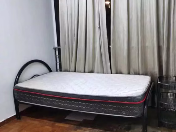 Room Rent • Bukit Timah •  South Union Park • S$1100 • Bungalow • Common Room Photo