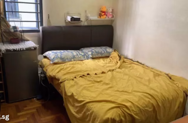Room Rent • Singapore River •  Regentville • S$1100 • Apartment • Common Room