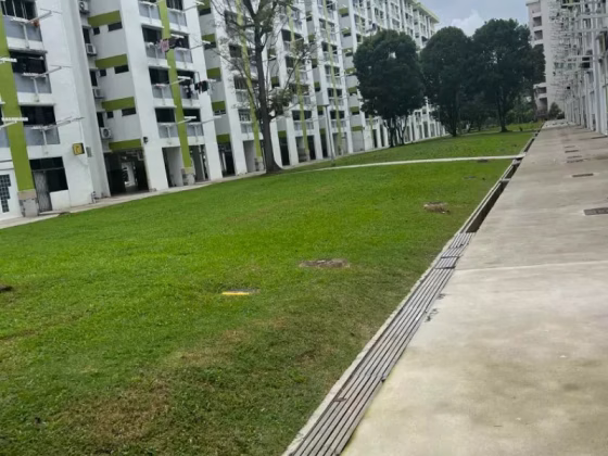Room Rent • Orchard • 211 Ang Mo Kio Avenue 3 • S$350 • 3-Room (2 BR) • Room Sharing Photo