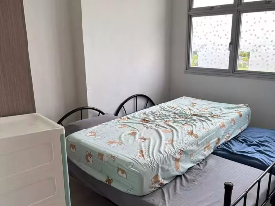 House Rent • Rochor • 672A Yishun Avenue 4 • S$3000 • 3-Room (2 BR) • 721ft² / 66m² Photo
