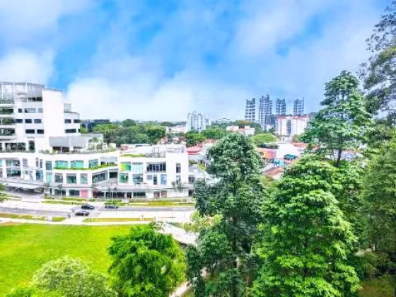 House Rent • Choa Chu Kang • 13 Holland Drive • S$4600 • 4-Room (3 BR) • 947ft² / 87m² Photo