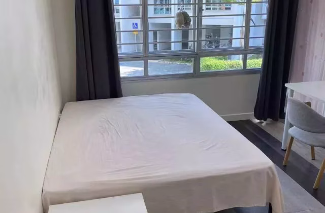 Room Rent • Rochor • 446 Yishun Avenue 11 • S$1250 • 4-Room (3 BR) • Master Room