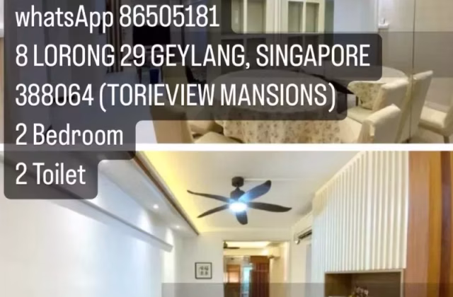House Rent • Outram •  Torieview Mansions • S$3000 • Apartment • 