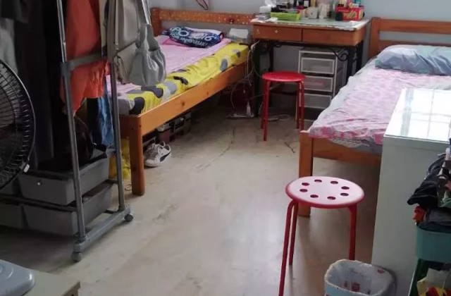 Room Rent • Western Water Catchment • 232 Tampines Street 21 • S$600 • 3-Room (2 BR) • Room Sharing