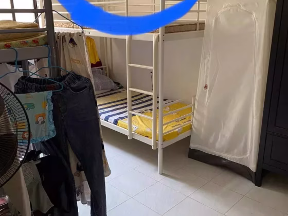 Room Rent • Choa Chu Kang • 100 Commonwealth Crescent • S$500 • 3-Room (2 BR) • Room Sharing Photo