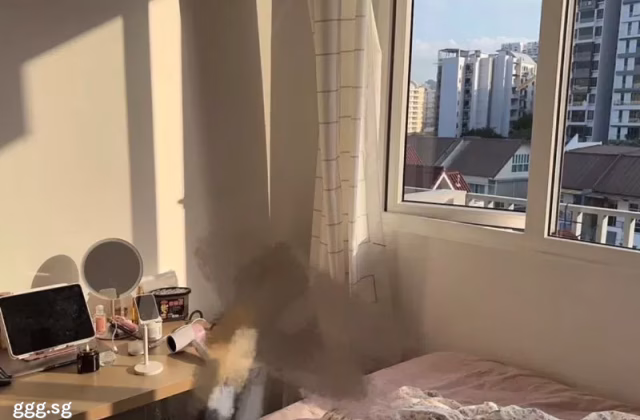 Room Rent • Museum •  Suites @ Topaz • S$1500 • Apartment • Common Room