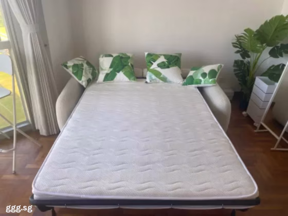 Room Rent • Bukit Timah •  The Bayshore • S$2000 • Apartment • Master Room Photo
