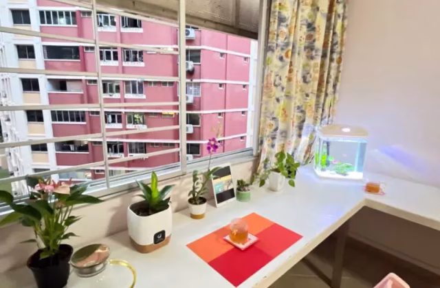 Room Rent • Singapore River • 363 Hougang Avenue 5 • S$1100 • 4-Room (3 BR) • Common Room