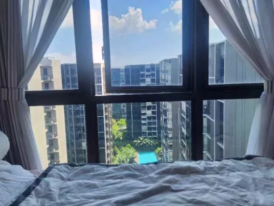 House Sale • Western Water Catchment •  The Tapestry • S$2200000 • Condo • 1346ft² / 125m² Photo