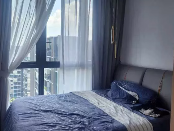 House Sale • Western Water Catchment •  The Tapestry • S$2200000 • Condo • 1346ft² / 125m² Photo