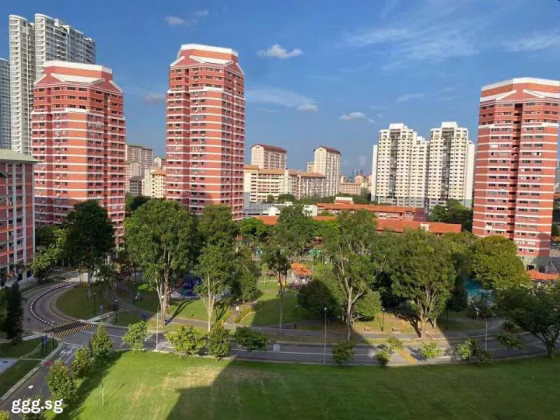 Room Rent • Downtown Core • 264 Bishan Street 24 • S$1000 • 4-Room (3 BR) • Common Room Photo