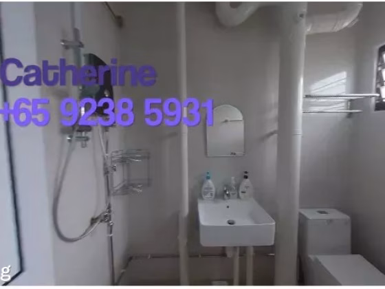 House Sale • Rochor • 303 Yishun Central • S$668000 • 4-Room (3 BR) • 1131ft² / 105m² Photo