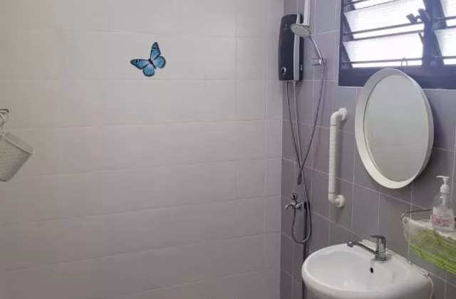 Room Rent • Bukit Batok • 223 Bukit Batok East Avenue 3 • S$1200 • Executive HDB • Master Room