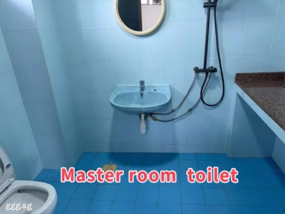 Room Rent • Central Water Catchment •  Fengli Gardens • S$1600 • Terraced House • Master Room Photo