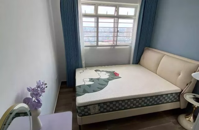 Room Rent • Newton • 78 Lorong Limau • S$1400 • 3-Room (2 BR) • Common Room