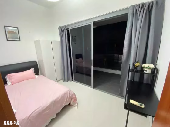 Room Rent • Singapore River •  Primo Residences • S$1300 • Apartment • Common Room Photo