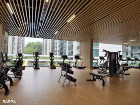 House Rent • Western Water Catchment •  Treasure At Tampines • S$3800 • Apartment • 581ft² / 53m² Photo