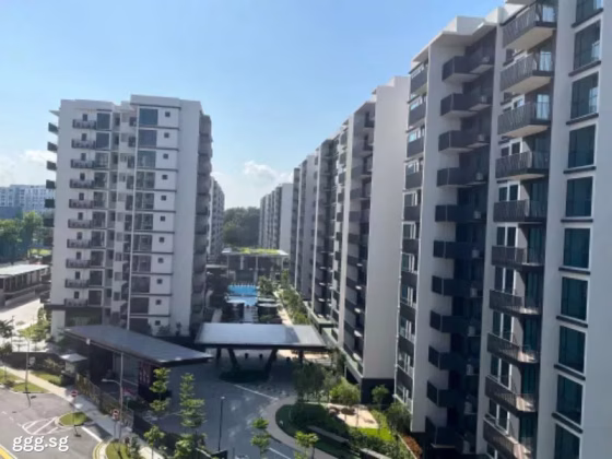 House Rent • Western Water Catchment •  Treasure At Tampines • S$3800 • Apartment • 581ft² / 53m² Photo