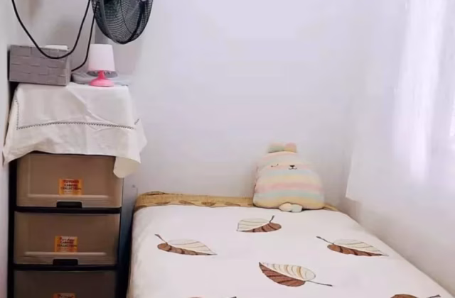 Room Rent • Newton •  Global Ville • S$600 • Apartment • Common Room