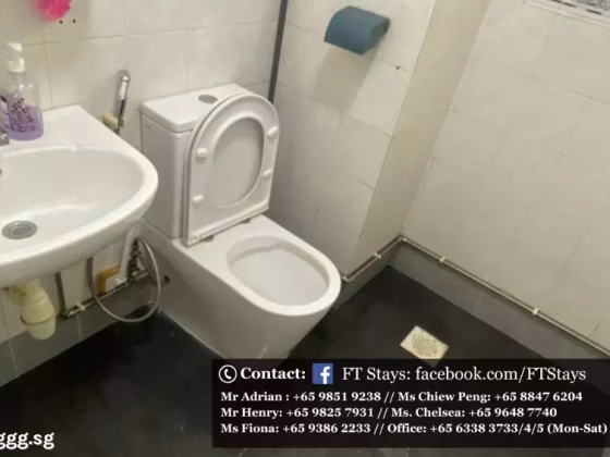 Room Rent • Outram •  Sunny Grove • S$1300 • Apartment • Common Room Photo