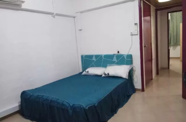 House Rent • Outram • 1 Joo Chiat Road • S$4000 • 2-Room (1 BR) • 