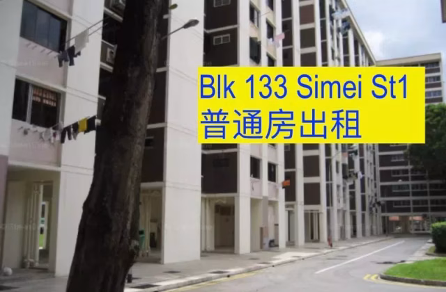 Room Rent • Western Water Catchment • 133 Simei Street 1 • S$900 • 4-Room (3 BR) • Common Room
